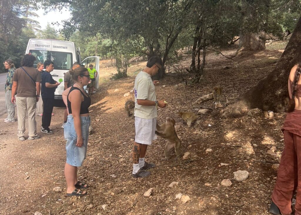 2 Days Tour From Fes To Merzouga