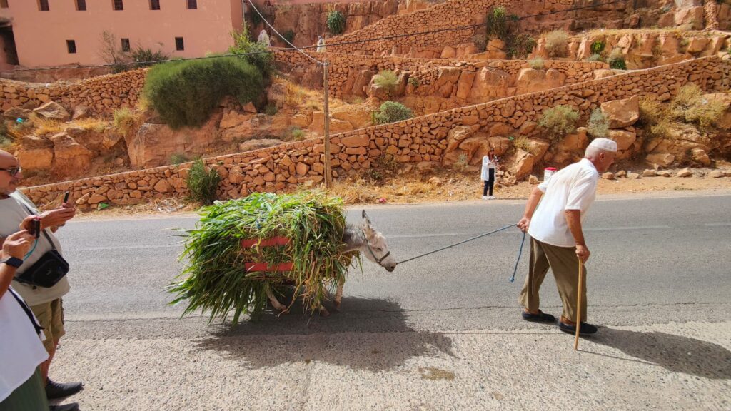 5 Days Tour From Fes To Marrakech