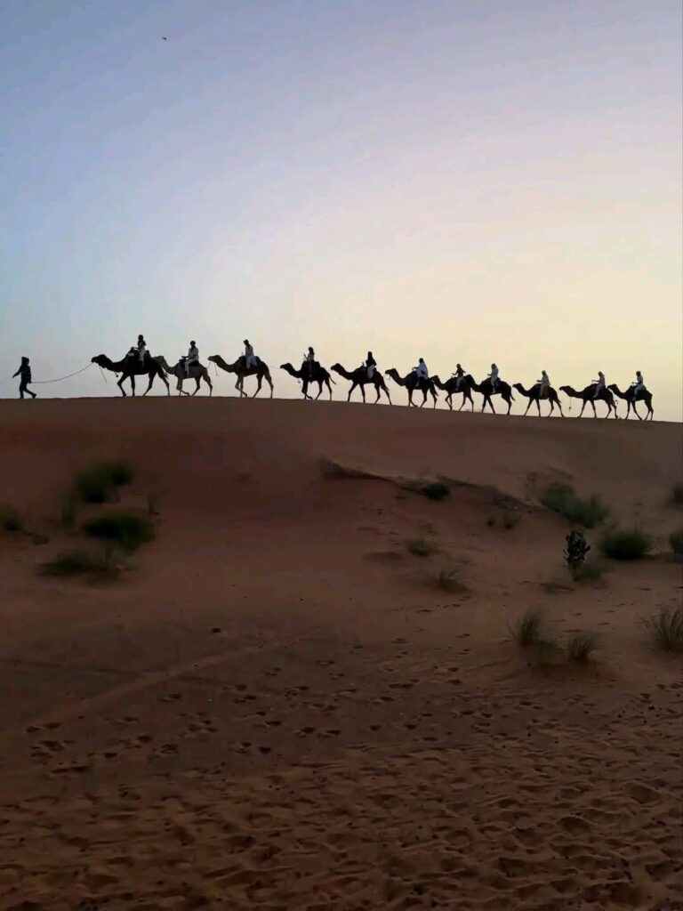 Day and Night Camel Trek Merzouga